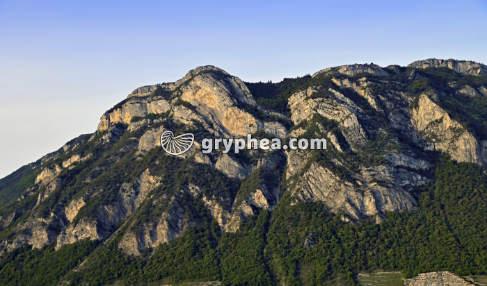 Pli de la Savoyarde (Massif des Bauges, Savoie, France) - gryphea.com